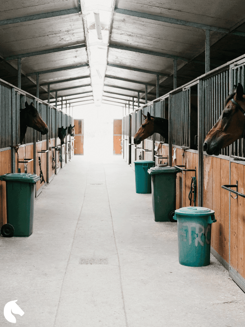 Horses in a stable